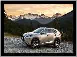 Lexus, NX200t