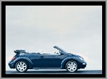 Volkswagen New Beetle