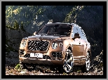 Przód, Bentley Bentayga, SUV