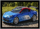 Rajdowy, Alpine A110 Rally