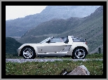 Srebrny, Smart Roadster