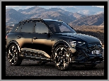 Audi SQ8 e-Tron